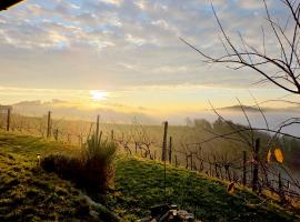 Jacuzzi & Vineyard Retreat，位于Podlehnik的酒店