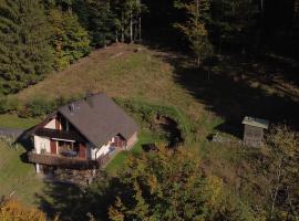 Maison nature et calme - 3 chambres - Vue montagne, hotel i Mittlach