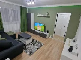 Cozy green apartament