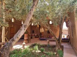 Eco-Ferme Tamalait Skoura