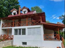 Vila Nina - gde duša diše – hotel w mieście Niška Banja