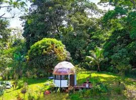 Selva Partners Chachagua