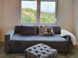 Pure nature lovely view house