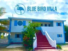 Blue Bird Villa - Turks & Caicos