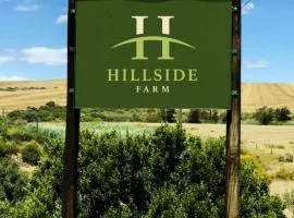 Hillside River House