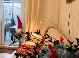 Apartment with terrace and barbecue area