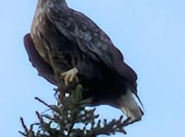 Harestua, hotel in Slåttøya