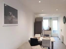 Appartement équipé vue phare, 2 min plage & ferry