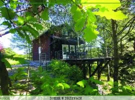 Domek Zielony Widok - noclegi Bieszczady