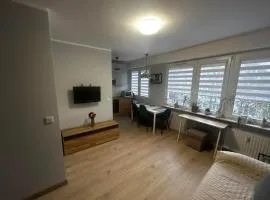 Apartament Toruński