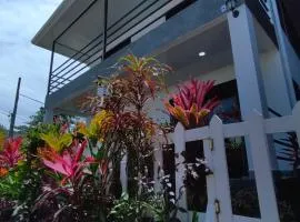 Hospedaje Casa Blanca Tortuguero Carey