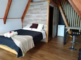 The River lodge Valdivia