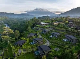 Samanvaya - Adults Only