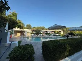 Summer Nights Resort