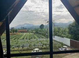 Puri Gajah Homestay & Villa