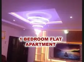 Cee&Tee BG ABK 1 Bedroom Flat-247 Electricity Solar inverter AC in bedroom