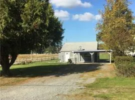 The basics in Edgewood