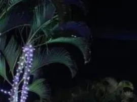 Winterville Gravatá 3 quatos