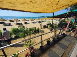 Mountain Palm patnem beach