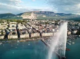 Luxury Apartment in Central Geneva