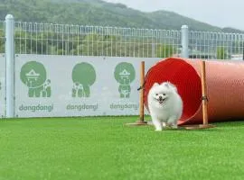 가평 댕댕이 애견 풀빌라 블루