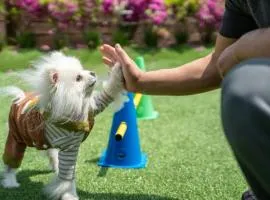 Namhae Dangdangi Dog Pension Blue