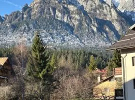 The View Apartment 4 Busteni