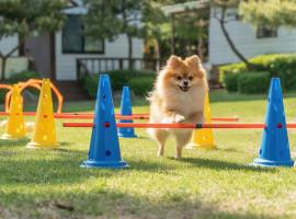 Pocheon luxjay pet Pension，位于抱川市的酒店
