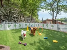 Gapyeong Daengdaengi Dog Pension Silver