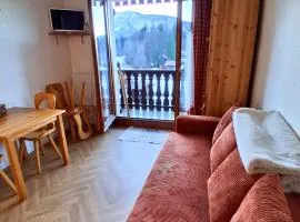 Studio SnowCarroz with a view for 4 people