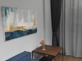 A newly refurbished and renovated apartment in Tbilisi