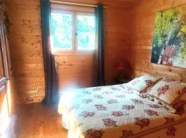 Chalet de rêve sur l'étang