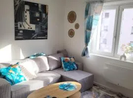 Chez Olivier wifi private parking Swiss border