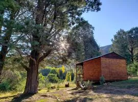 CABINS & CARAVAN at Old Mill Drift Guest Farm