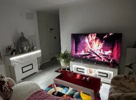 Apparemment 3 pièce Strasbourg Ilkirch graffenstaden