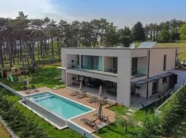 Villa Valpinia for 8 people in Labin - Rabac with 40 m2 heated pool, indoor jacuzzi & sauna