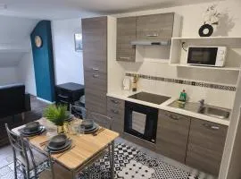 Downtown Apartment with Garage Parking