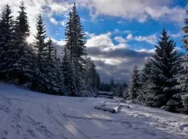 Wakacyjne Historie - nowoczesne i komfortowe apartamenty ze SPA u podnóża Śnieżnika