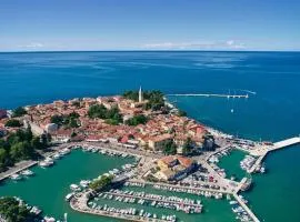 Luxury Villa Lipa Tree with pool in Novigrad