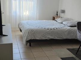 Chambre chez l'habitant Bed & Breakfast Illchirch, hotel in Illkirch-Graffenstaden