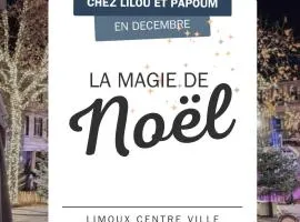 Maison lumineuse avec terrasse vue & parking au cœur de Limoux