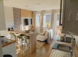 Battersea double room near Central London