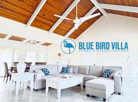 Blue Bird Villa - Turks & Caicos, levn&yacute; hotel v destinaci Turtle Cove
