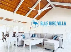 Blue Bird Villa - Turks & Caicos