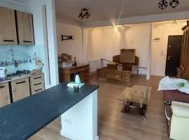 Teona Cozy Corner Apartment Targu Neamt