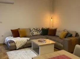 FM Apartments ne qender te Pejes