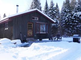 Meadowlark Cabin #5, campingplads i Maynooth