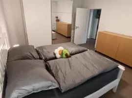 Specious Apartment in Downtown