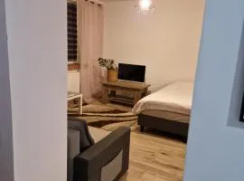 SAWAGO przytulne mieszkanie u Gosi Lekowo Ciechanów