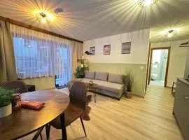 Haus Silence - Berge & Sonne im Saastal Ski Wandern Familie Haustiere